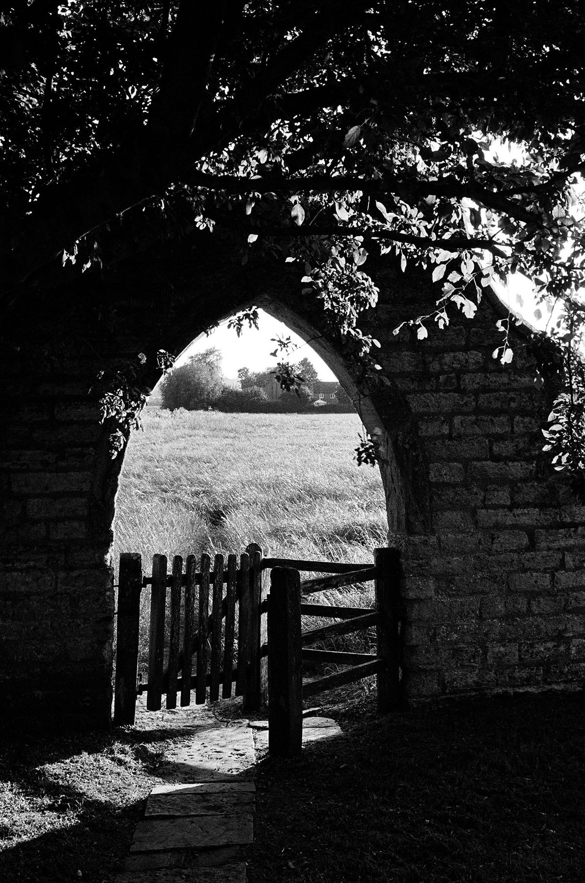 A gothic arch framing a gate and a field